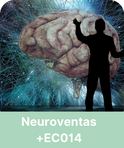 Seminarios Submenú Seminarios OCIMAQ 4
